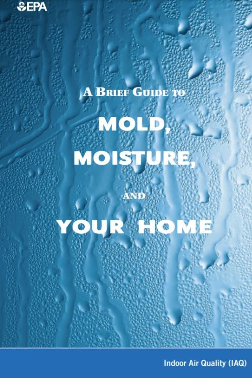 a brief guide to mold moisture and your home_genmac restoration