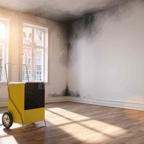 mold damage to home_GenMac Restoration