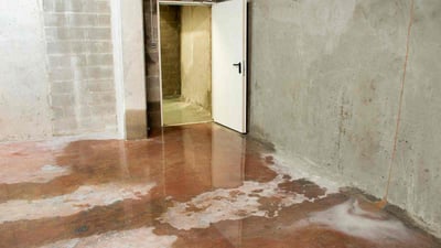 Sewage Damage, Remediation and Restoration Service in Campbell County