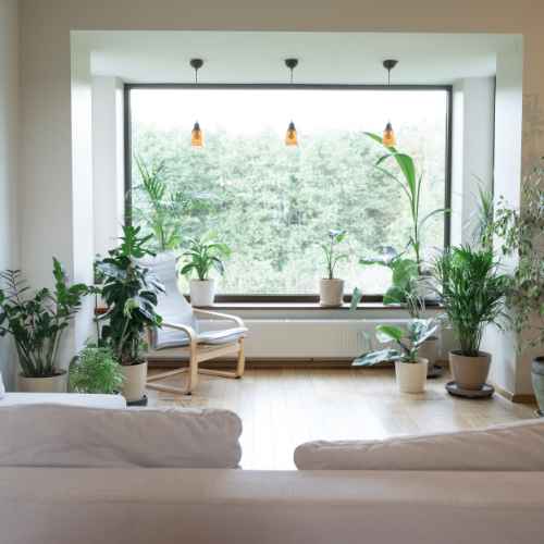 quality restoration gor a healthy environment_genmac restoration